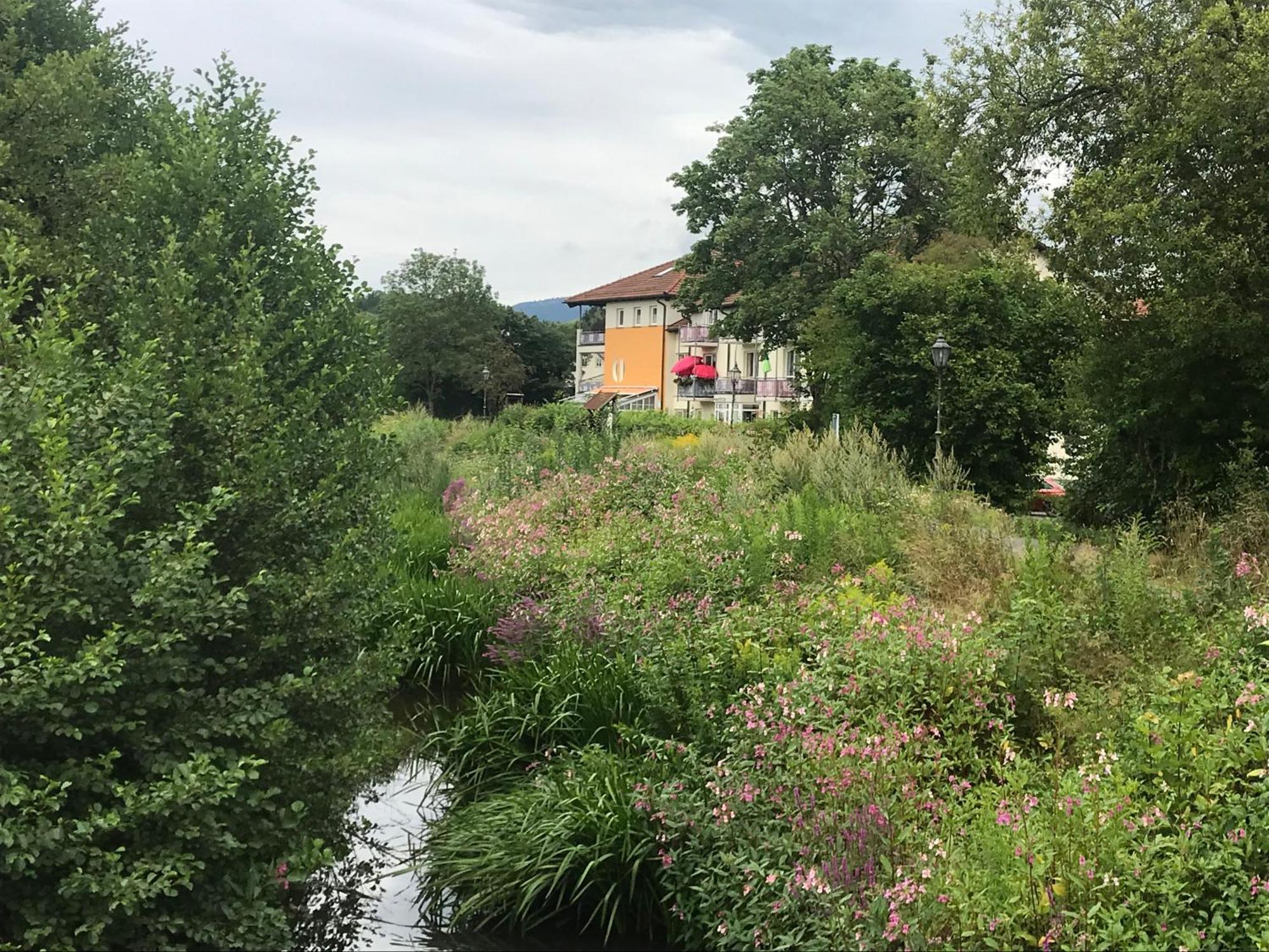 Ferienresidenz Am Weissen Regen Lägenhet Kötzting Exteriör bild